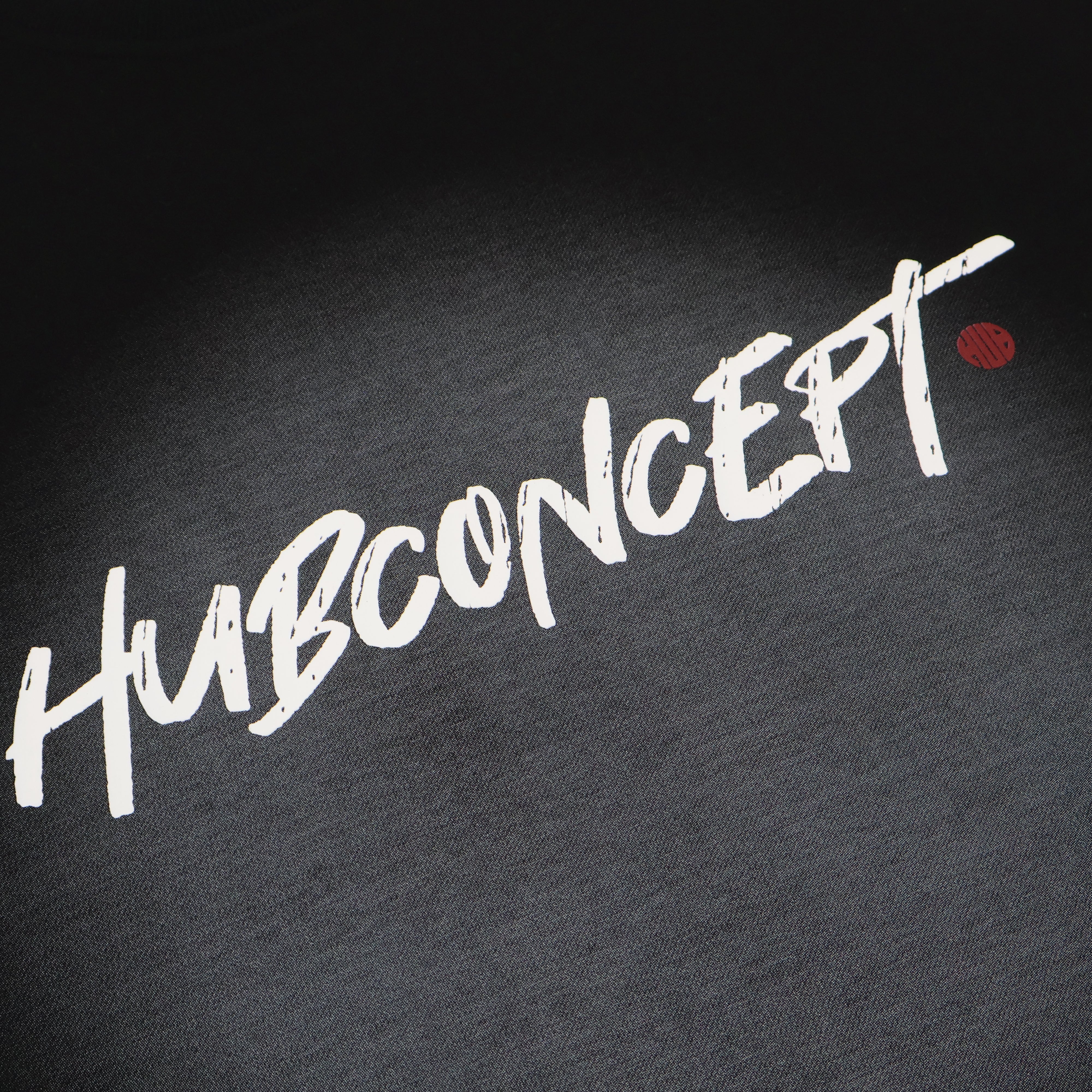 "Rebellion Manuscript"