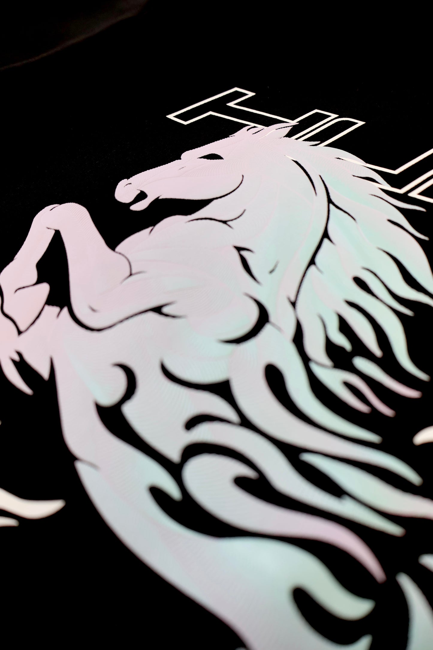 "Fortune Stallion"