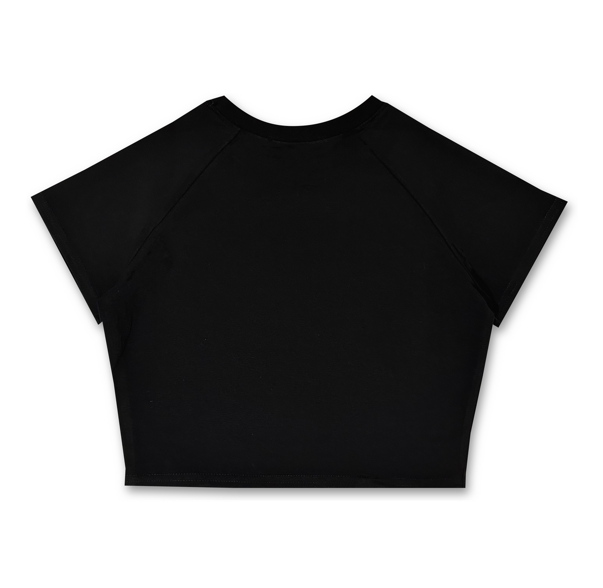 "Simple HUB" Crop Top