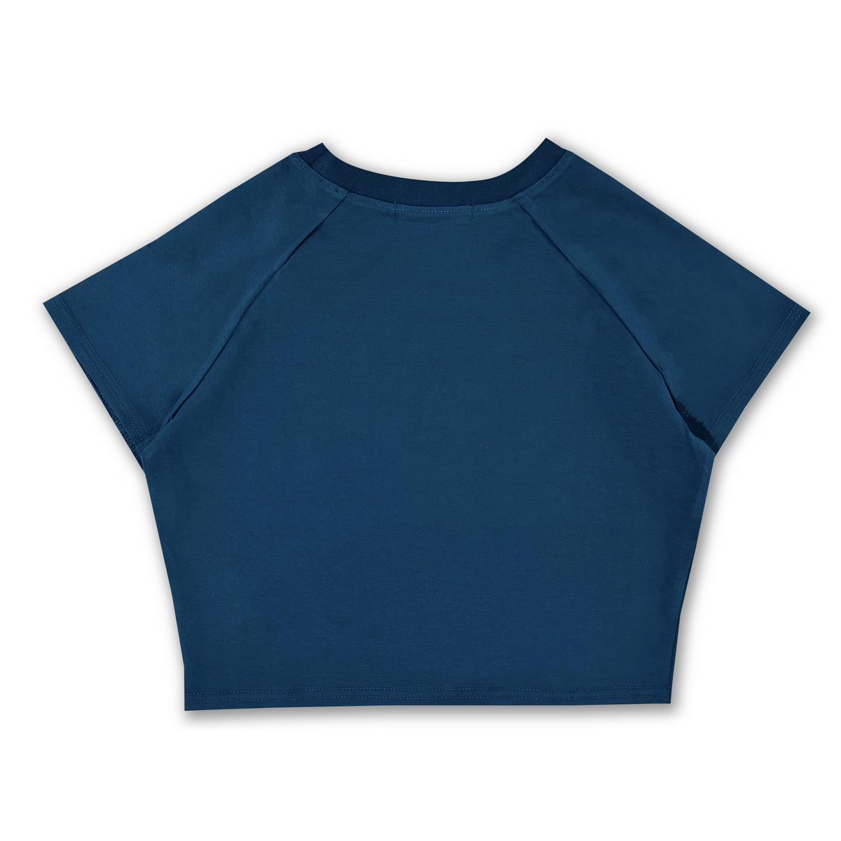 Hub Streetwear Brands - buy streetwear malaysia, Blue Plain Crop Top Back View