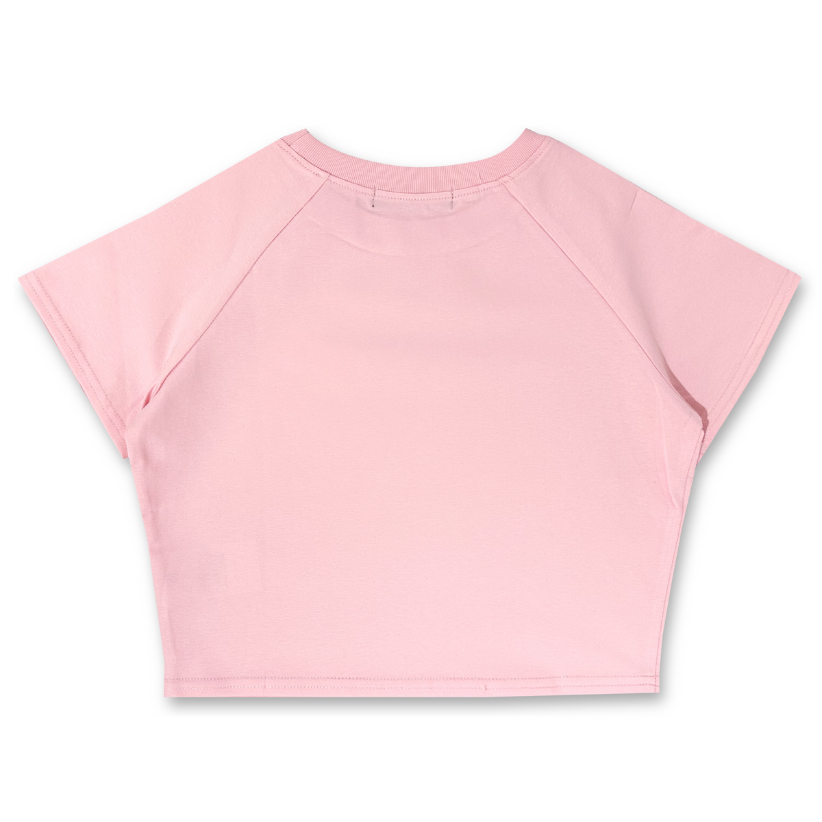 Hub Streetwear Brands - buy streetwear malaysia, Pink Plain Crop Top Back View
